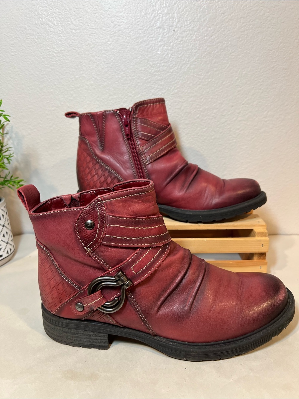 Earth Burgundy Real Leather Ankle Booties Moto Buckle Accent Wrapped Straps
